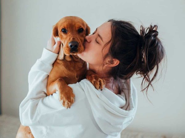 Τα σκυλιά καταλαβαίνουν όταν τα φιλάμε;